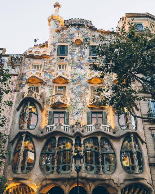 everything-thing:Barcelona, Spain by wonguy974
