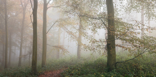 quiet-nymph:Photographyby FinnHopson on Flickr