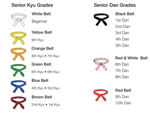 Juji Gatame — The Judo Rank System - Belts