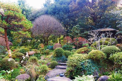 tokyogems - found a beautiful, quiet garden in hakone.吉井旅館の庭園。