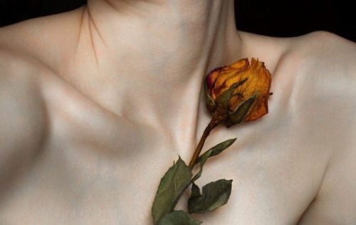 bambiskinny:dead flowers and collarbones ☽ bambiskinny☽