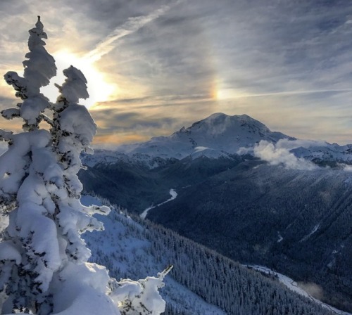 Mount Rainier National Park in Washington offers amazing rewards for visitors willing to brave the cold. Epic views of mountains and valleys glimmer in snow white and subtle blue combine with the crunch of ice under your boots and the welcome warmth...