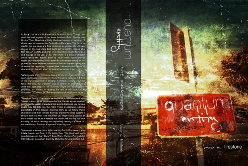 cover of quantum entity | the successors