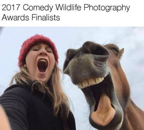 thriveworks:2017 Comedy Wildlife Photography Awards Finalists...