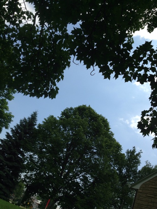 #blue #sky #green #trees #leafs #sun #summer #wisconsin #yoop...