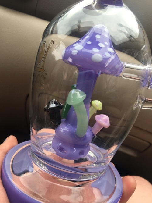 stonedscorpio2bh - Daddy bought me a new Lookah bong!!!! 