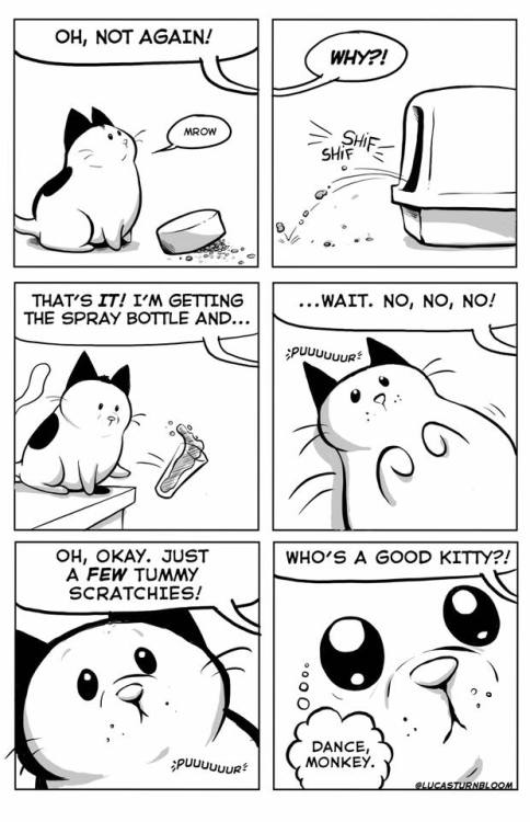 catsbeaversandducks - Comic by Lucas Turnbloom