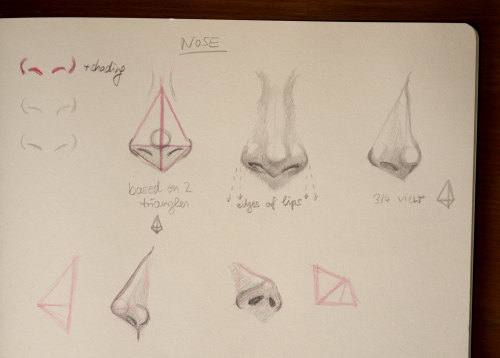 jbohn - These are some tips for drawing the nose. The triangles...