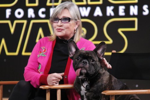 thenerdsaurus - Carrie Fisher, Celebrated Star Wars Actor, Dies...