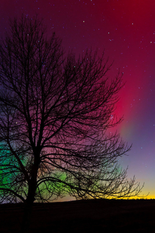just–space - The Aurora Borealis. Photo by Andrew Cameron....