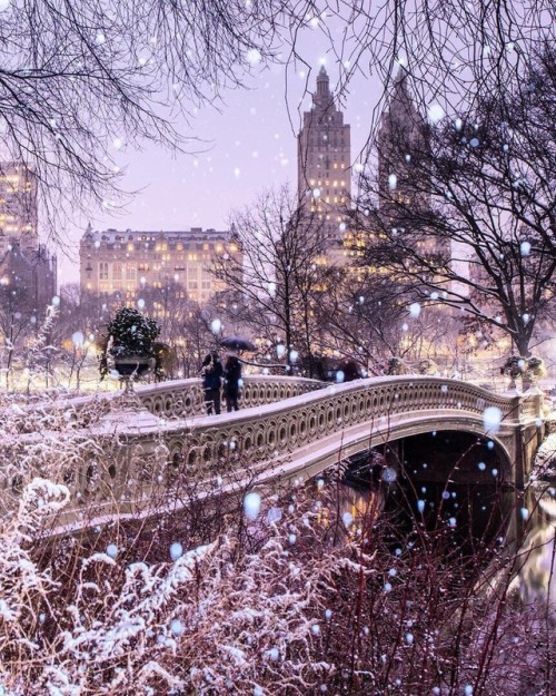 newyorkcityfeelings - Bow Bridge, Central Park by Matthew...