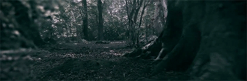 Resultado de imagem para darkest part of the forest gif