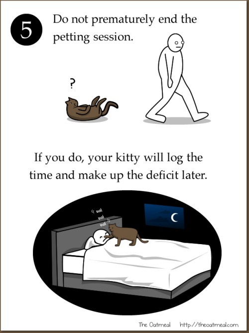 catsbeaversandducks - Comic by ©The Oatmealblackheartsandbliss