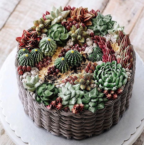 succulent-therapy - bibidebabideboo - (Succulent Cakes By...