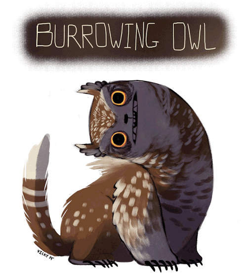 auratusuniverse - winslowdraws - all my bear owl (or owlley cats)...