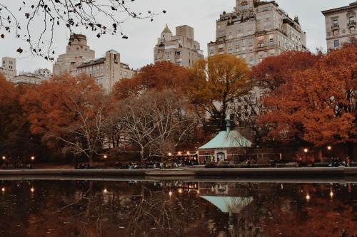 greemuel - Fall in Central Park. | @greemuel