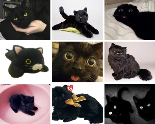 buttercupagere:Black cat age regression moodboard, for anon!