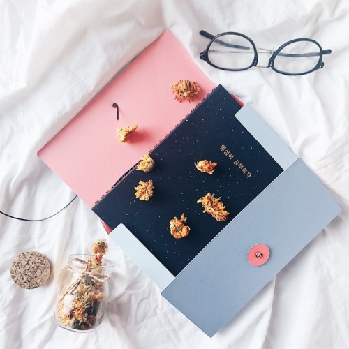 studylustre:beyond thrilled to show y’all a quick glimpse of...