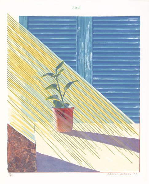 aubreylstallard - David Hockney
