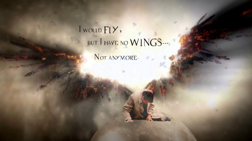 trenchcoatsandjellybabies - “I would fly, but I have no wings…...