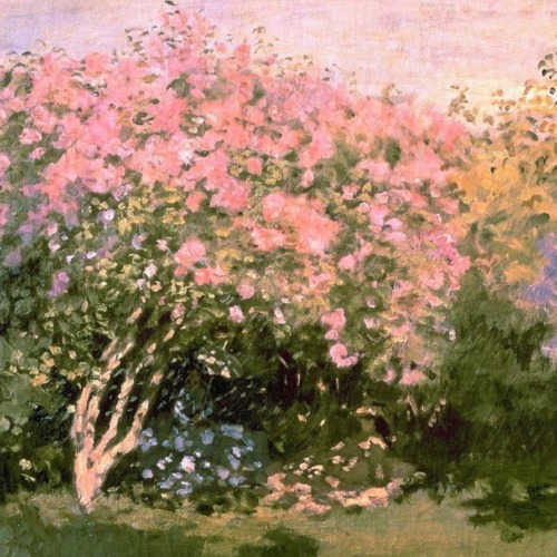 foreveragope:Moodboard; Claude Monet,Father of Impressionism,...