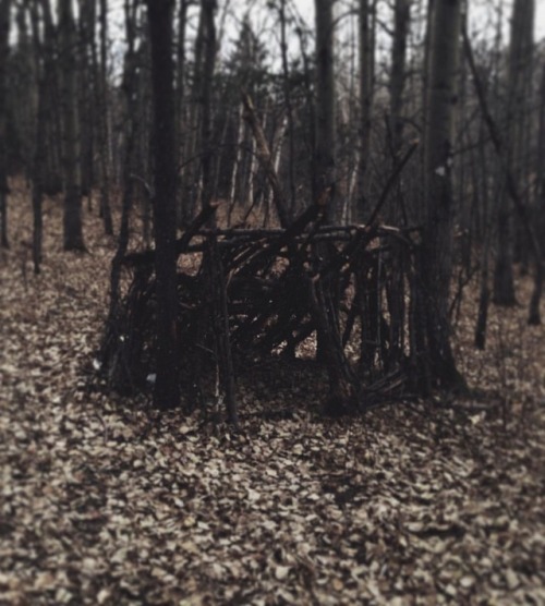 witchesgrove - A lean-to I found in the woods todayIG - ...