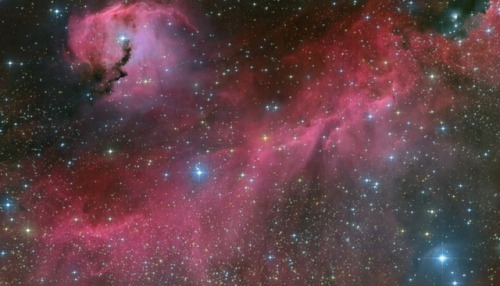 space-wallpapers - The Seagull Nebula (desktop/laptop)Click the...