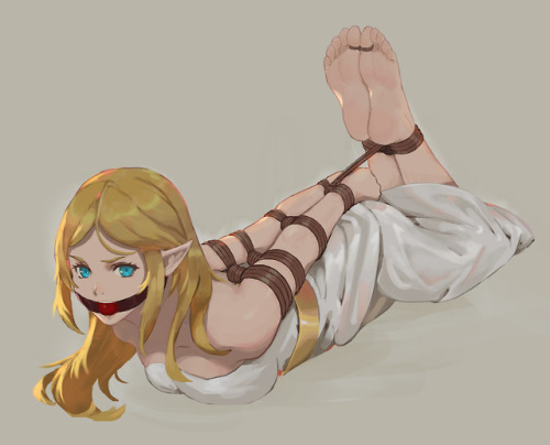 hentaibondagelust - Princess Zelda