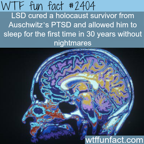 wtf-fun-factss:LSD cured a holocaust survivor - WTF fun facts