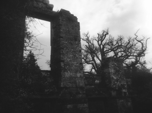 satanswidow - A section of ruins at Scotney Castle, Kent, UK.