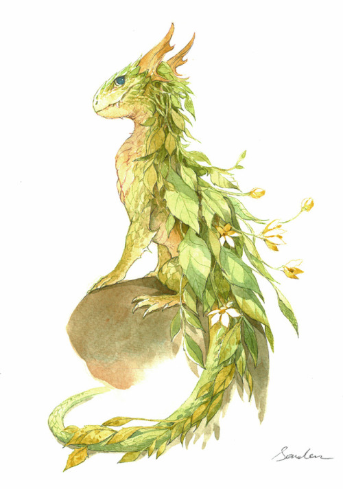 adventure-fantasy - watercolor dragon 2by sandara