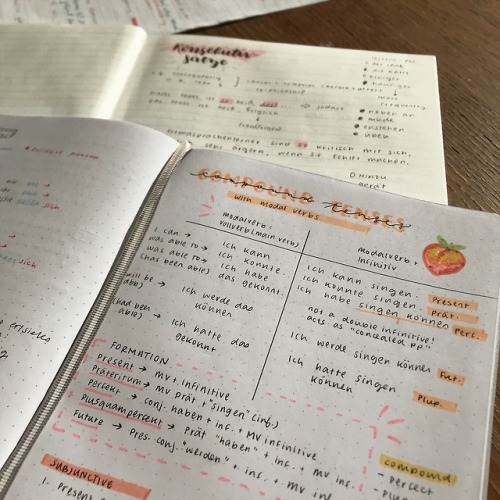 studyplants - german grammar + peachy colour scheme!!  taken...