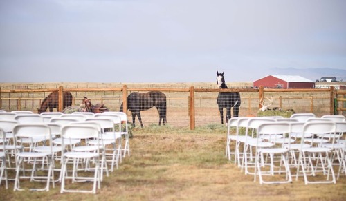 countryff4171 - Happily Ever After - )This is awesome!Blessing...