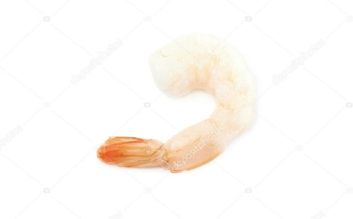 cursedcatimages - Shrimp
