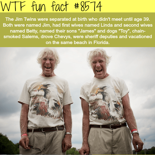 wtf-fun-factss:The Jim Twins - WTF fun facts