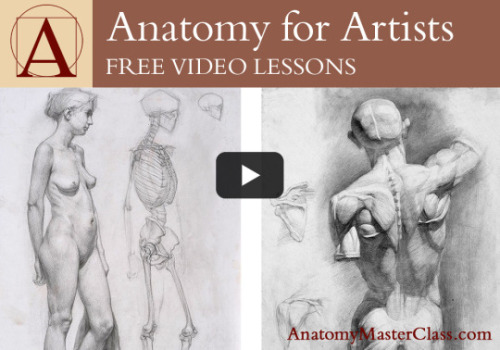 supersonicart:Anatomy Master Class Free Video...