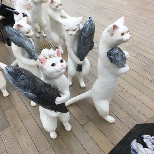 taishou-kun - Sugiyama Airi 杉山愛莉Royal cats procession 大猫行列 -...