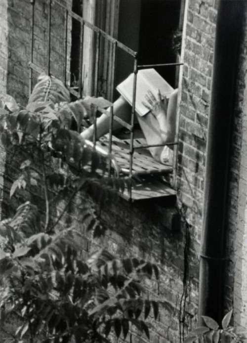 last-picture-show:André Kertész, Woman Reading in the Fire...