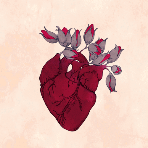 flor desenho | Tumblr