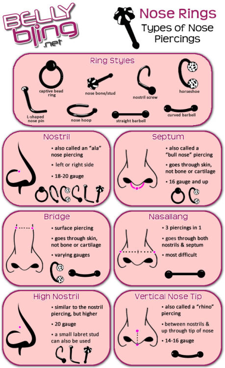 raevenlywrites - rinface - Facial and Ear piercing DiagramsJust...