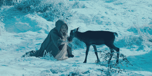 andantegrazioso - Snow rose | Maleficent