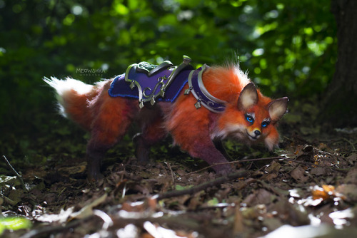 miaushka - Reins of the Llothien Prowler Fox from World of...