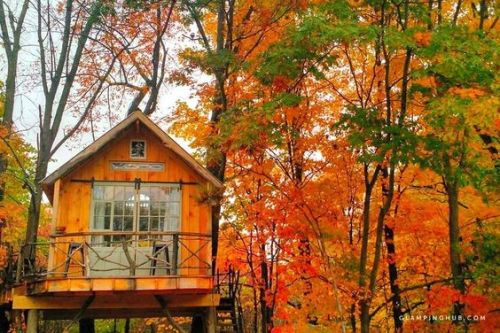 magicalhomesandstuff - New York treehouse is a cozy place to be...