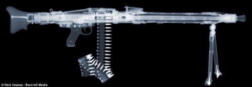 ak4me - ineversurrender - Gun X-rays...