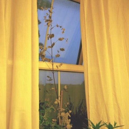 i changed my curtains because you remind me of this colour.