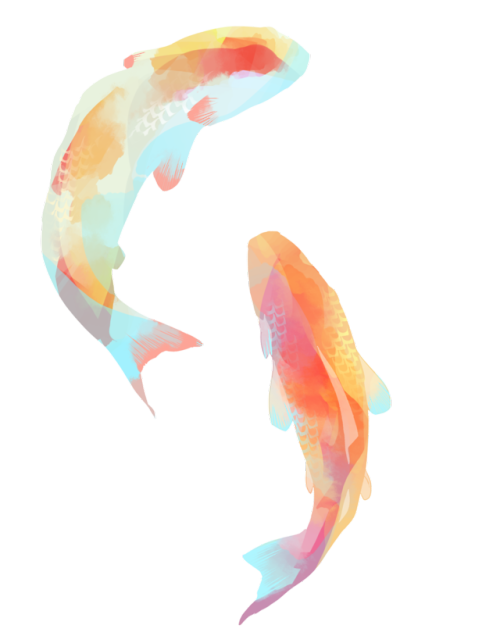 Watercolor Koi Fish
