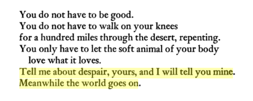 gnossienne:Mary Oliver, “Wild Geese”