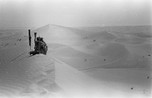 tanyushenka - A sand dune in the Ramlat al Ghirbaniyat...