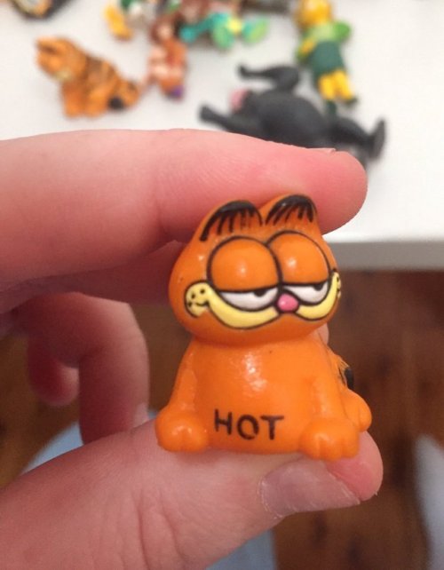cursedgarfield - my friend bought a box full of miscellaneous...