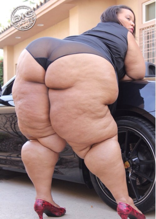thickdonkeys - Gang of assRepost if you love 200+ pound...